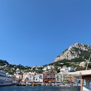 Meet your Posher, Maddison